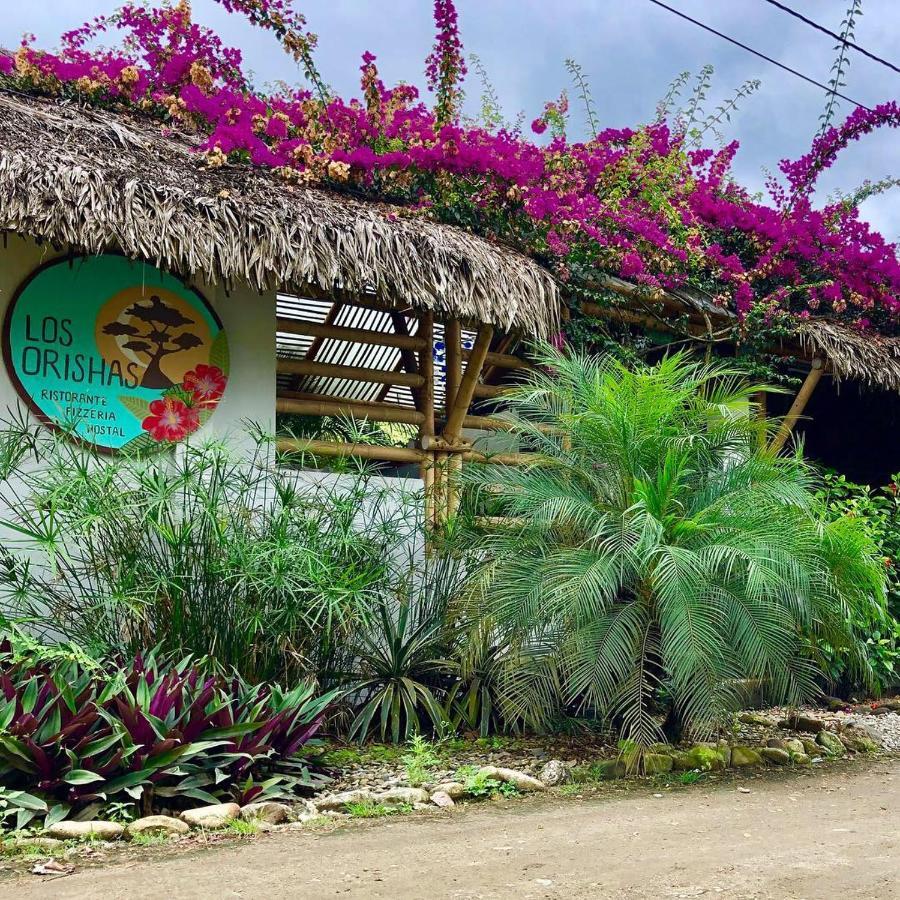 Hostal Los Orishas Ayampe Exterior photo